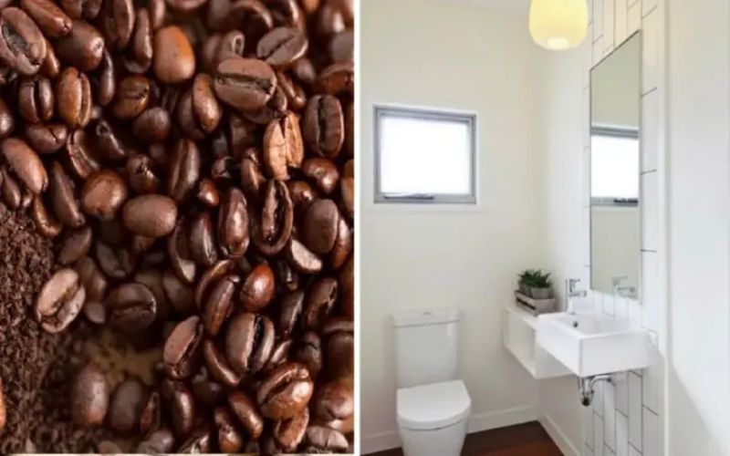 Xử lý mùi hôi quận Thủ Đức