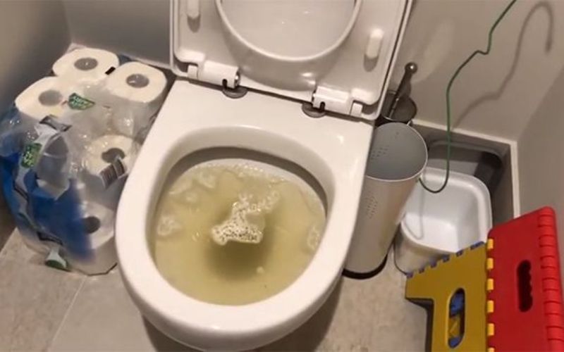 Thông bồn cầu Chợ Lách