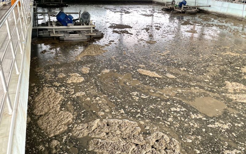 vận chuyển bùn vi sinh tại Bình Dương