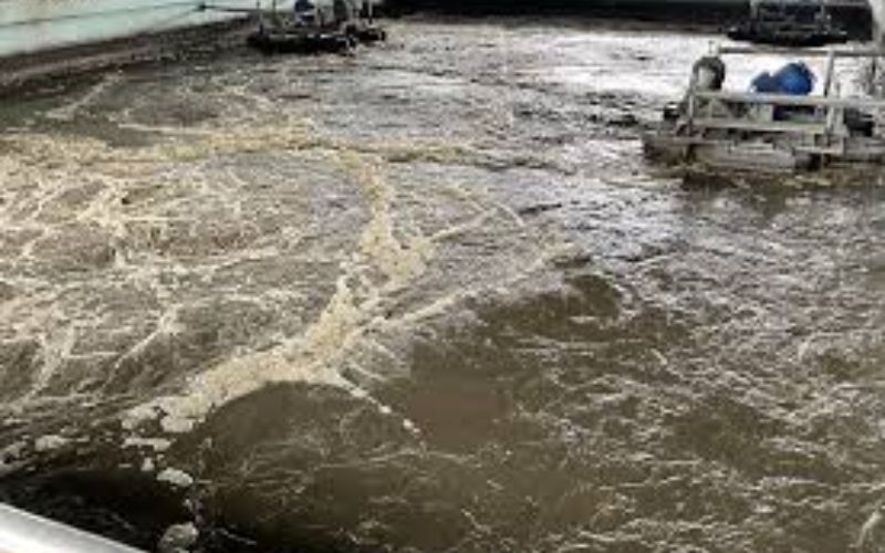 vận chuyển bùn vi sinh tại Đồng Nai