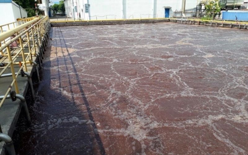 Công Ty Cung Cấp Vận Chuyển Bùn Vi Sinh Tại Bạc Liêu