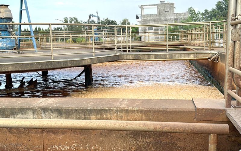 Công Ty Cung Cấp Vận Chuyển Bùn Vi Sinh Tại Bình Phước