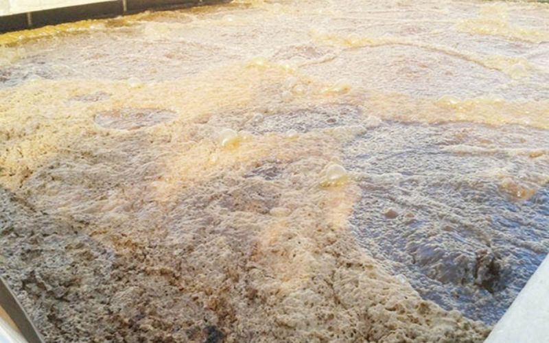 Công ty cung cấp vận chuyển bùn vi sinh tại Cần Thơ