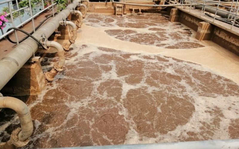 cung cấp vận chuyển bùn vi sinh Bạc Liêu