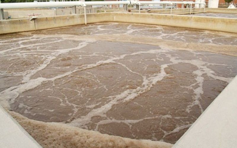 Cung cấp vận chuyển bùn vi sinh Đồng Tháp