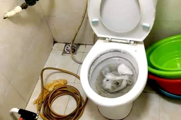 Mẹo bảo dưỡng và sử dụng hầm cầu bền lâu