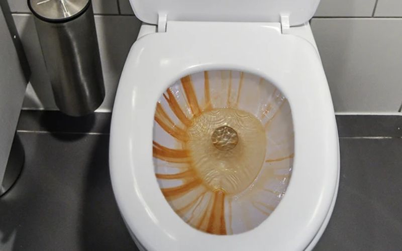 Thông bồn cầu quận Tân Phú